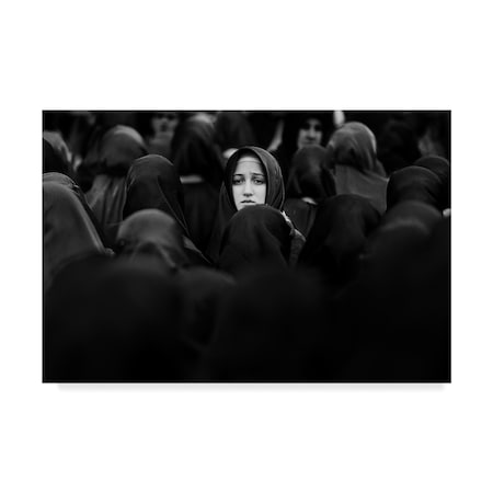 Trademark Fine Art Yavuz Sariyildiz 'Where Am I' Canvas Art, 22x32 1X04986-C2232GG